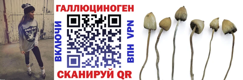 купить  сайты  Калтан  Псилоцибиновые грибы Psilocybe 